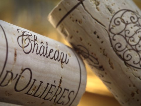 chateau dollieres 34